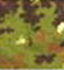 Italian Camo